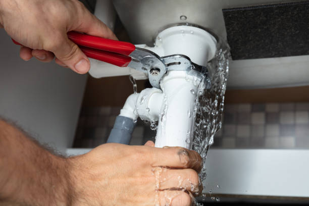 Best Flood damage cleanup  in Reedsville, WI