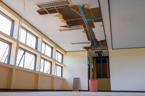 Best Water damage restoration near me  in Reedsville, WI