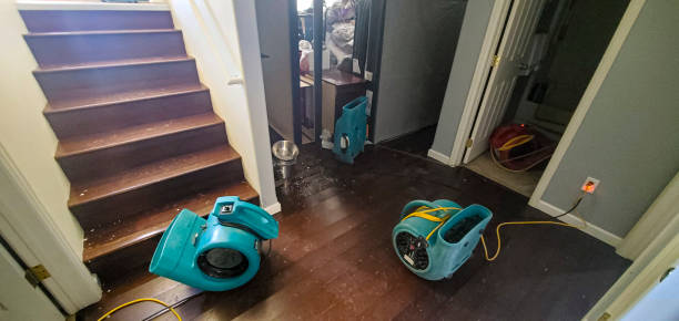 Best Commercial water damage restoration  in Reedsville, WI