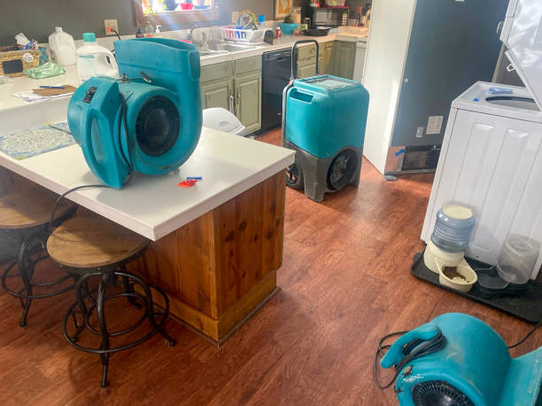 Best 24-hour water damage restoration  in Reedsville, WI