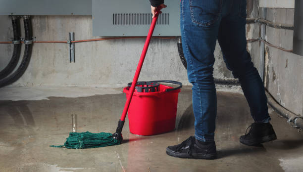 Best Ceiling water damage repair  in Reedsville, WI