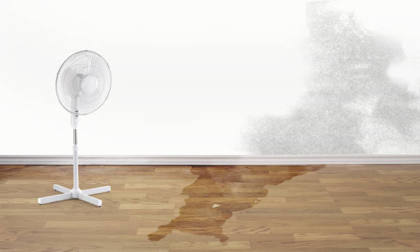 Best 24/7 water damage repair  in Reedsville, WI