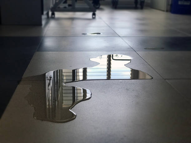 Best Carpet water damage restoration  in Reedsville, WI