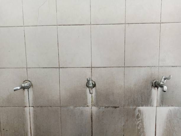 Best Water damage cleanup near me  in Reedsville, WI