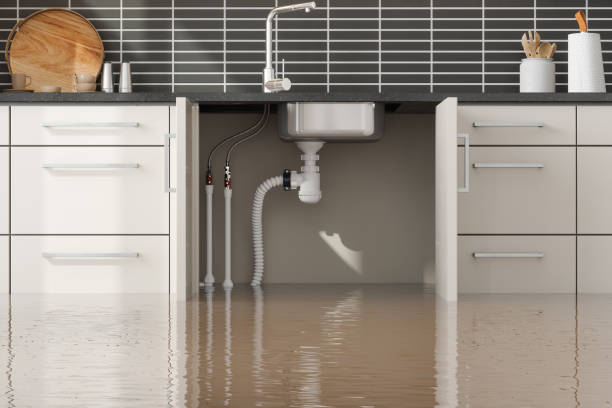 Best Ceiling water damage repair  in Reedsville, WI