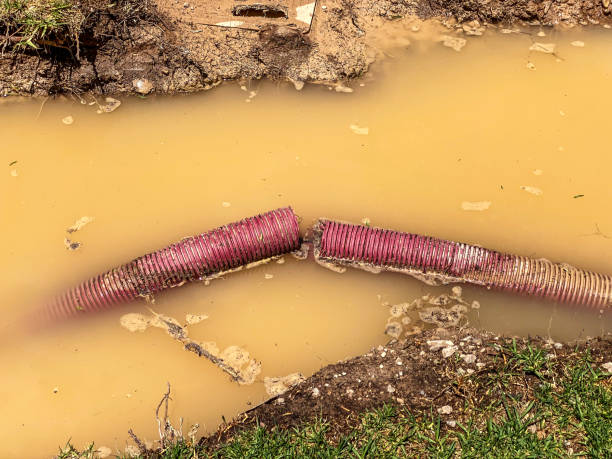 Local water damage restoration in Reedsville, WI