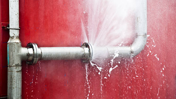 Best Mold removal after water damage  in Reedsville, WI